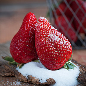 Ohne Zuckerzusatz produzieren wir die Fruchtaufstriche seit 2012